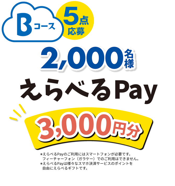 Bコース